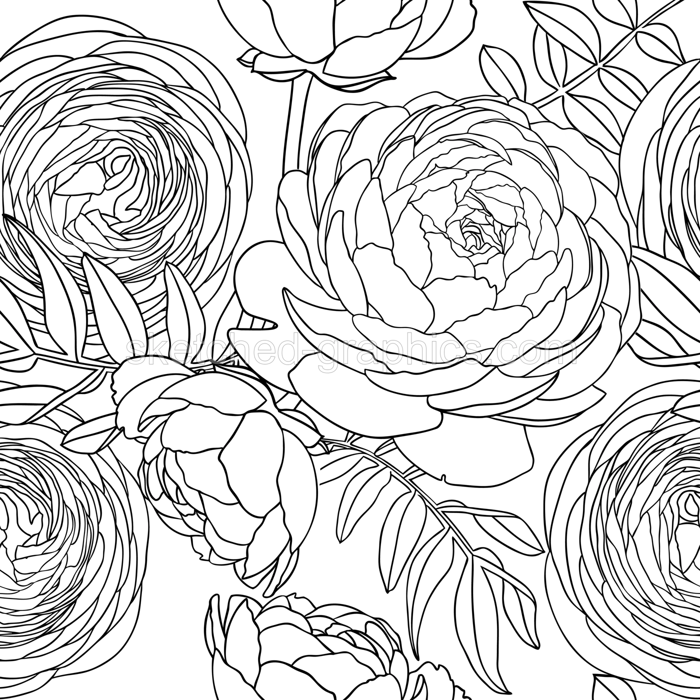 Line art ranunculus background. Abstract and minimalist illustrations with floral outlines. Ranunculus outlines seamless pattern for wall art, prints, wrapping paper, packaging, fabric. Illustration